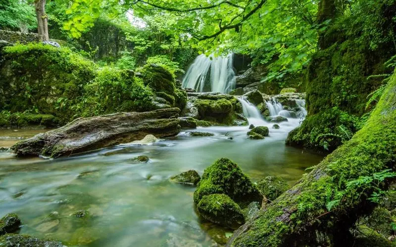 高标准智慧制造独特